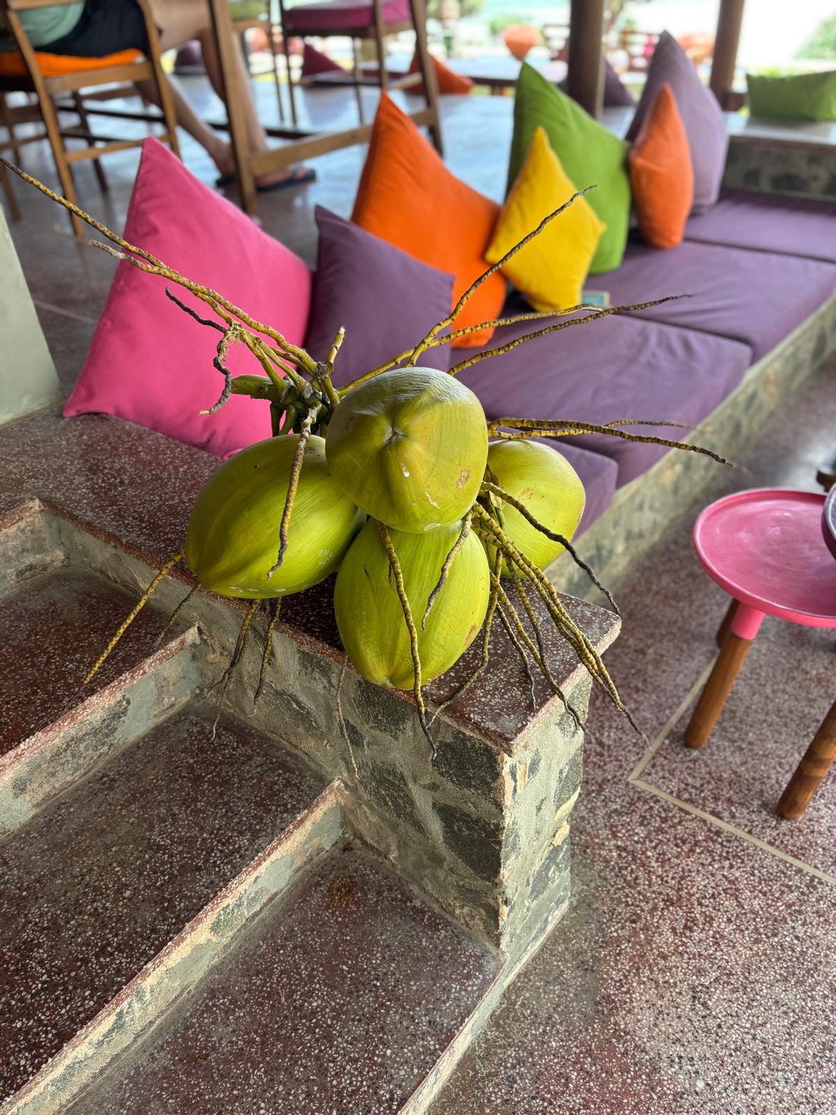 PHOTO-2025-11-03-11-45-13 5